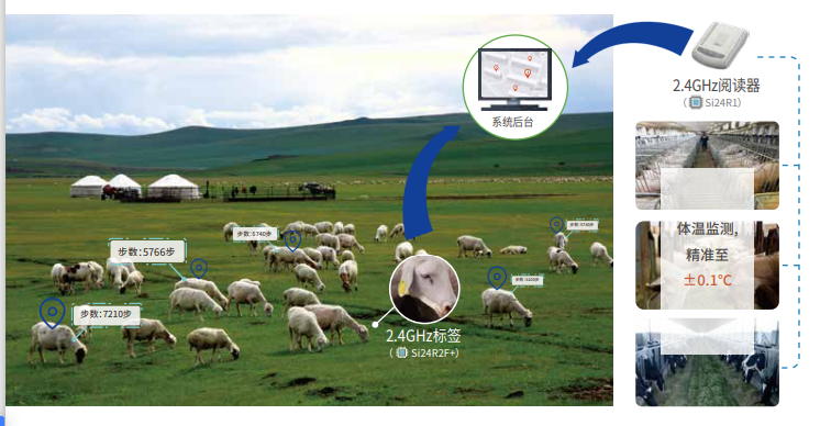 牛羊体温监测、定位管理、计数计步