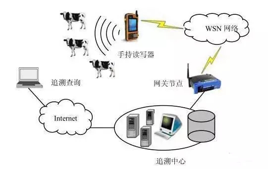 RFID 与 WSN 结合的养殖信息溯源方案